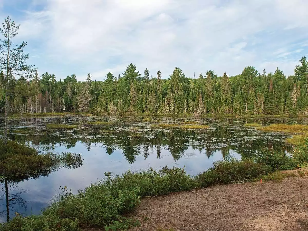 A hiking trail passes by a lake in Algonquin Park, one of the many trails accessible with an Algonquin Park Day Pass. ALGONQUIN HIKING TRAILS