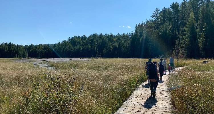 Group walks along the Beaver Pond Trail just minutes from Algonquin Park East Gate