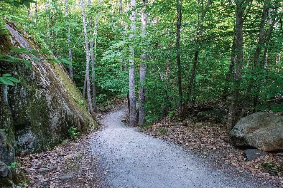 hiking track