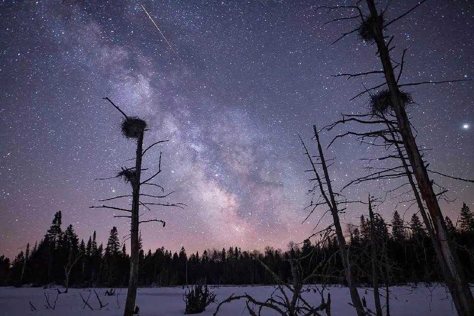 night view of sky