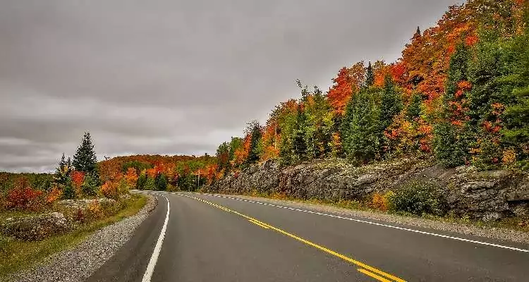 A road crossing through autumn trees where you can use your Algonquin Park Day Pass