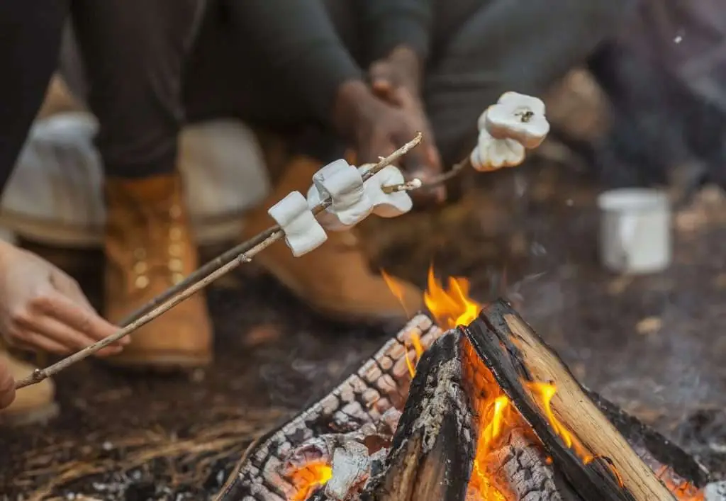 Close up of travellers frying marshmallow in forest