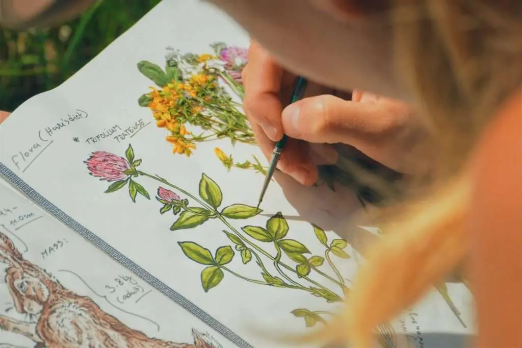 woman painter/artist painting a picture of a wildflower, outdoors