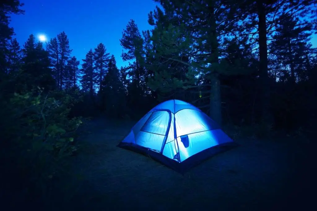 Forest Camping in a tent at night surrounded by trees near Algonquin Park