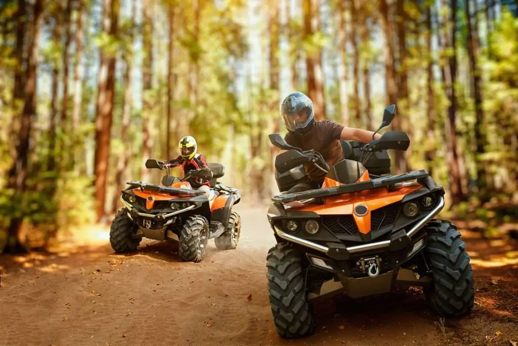 Two atv riders, speed race in forest, front view