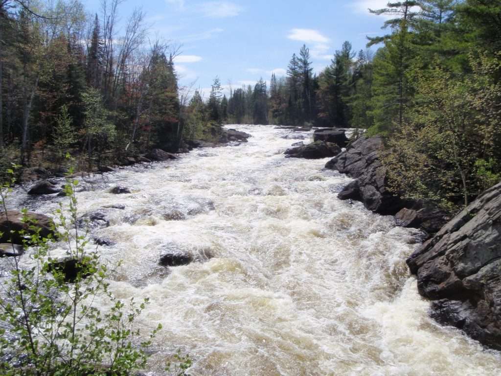 Unleash Your Inner Adventurer on the Old Rail Trail in South Algonquin ...