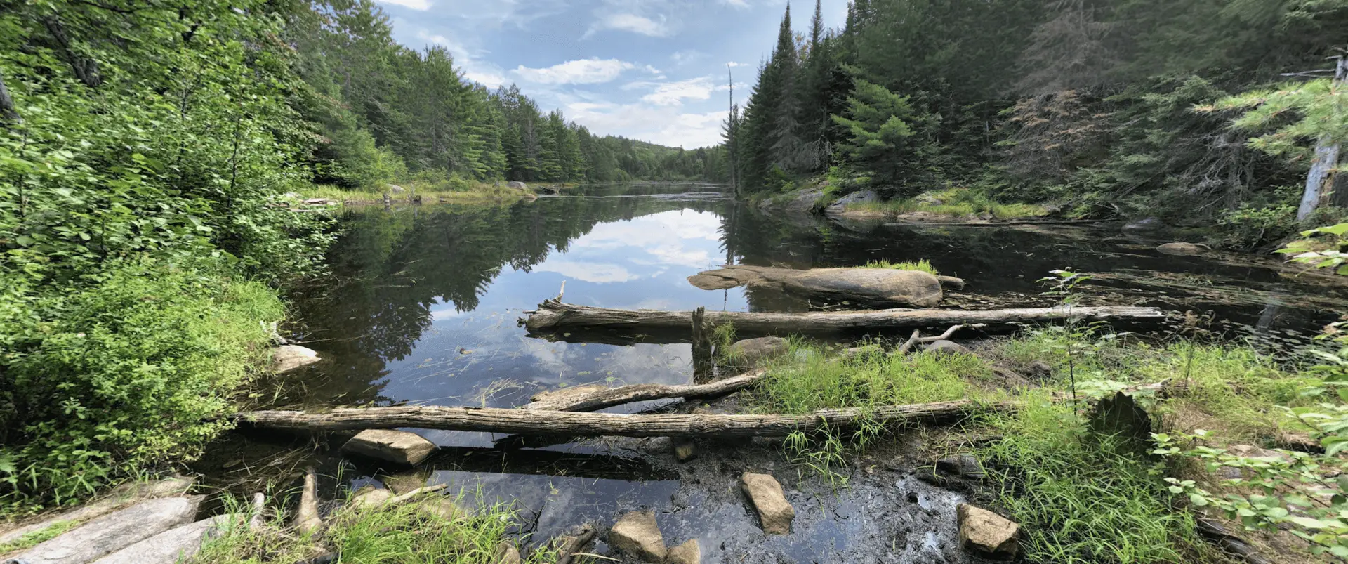 Algonquin Park Centennial Ridges Trail Pond