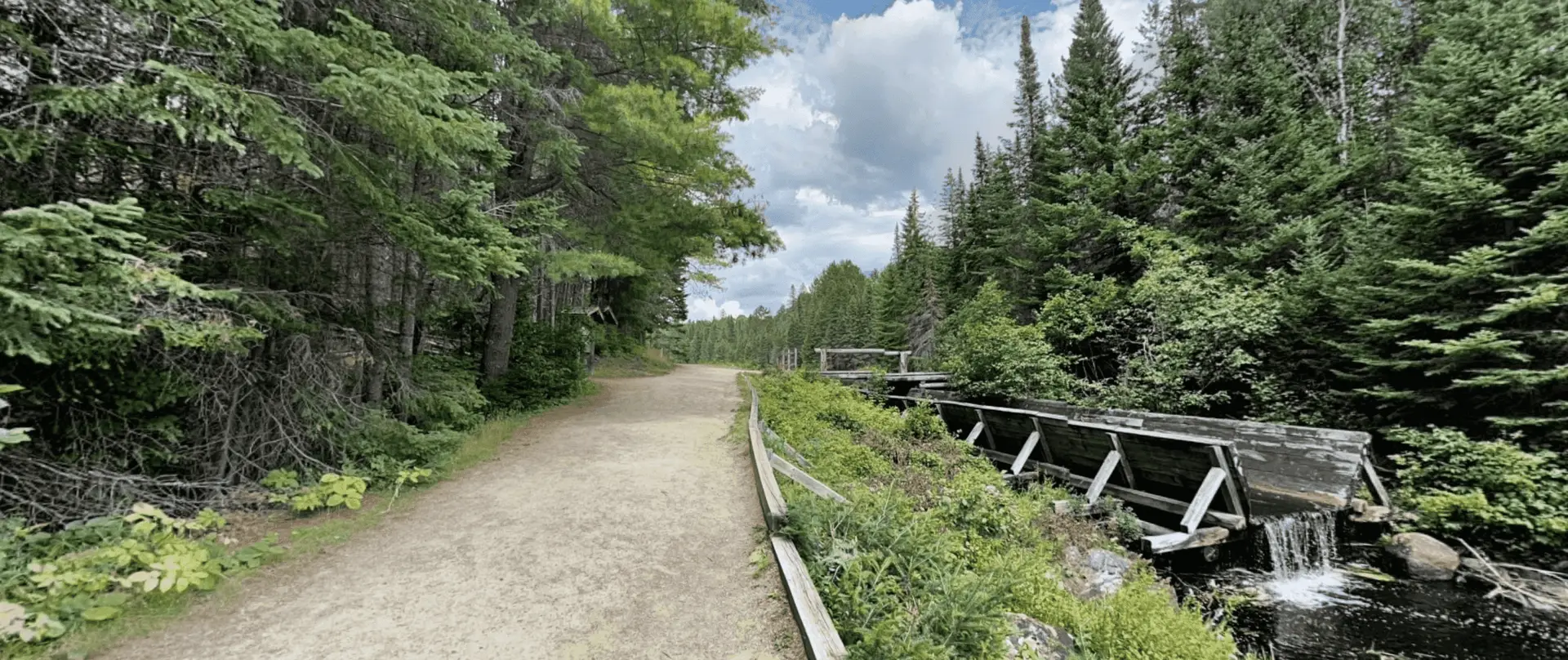 Logging Museum Trail Looking Spot