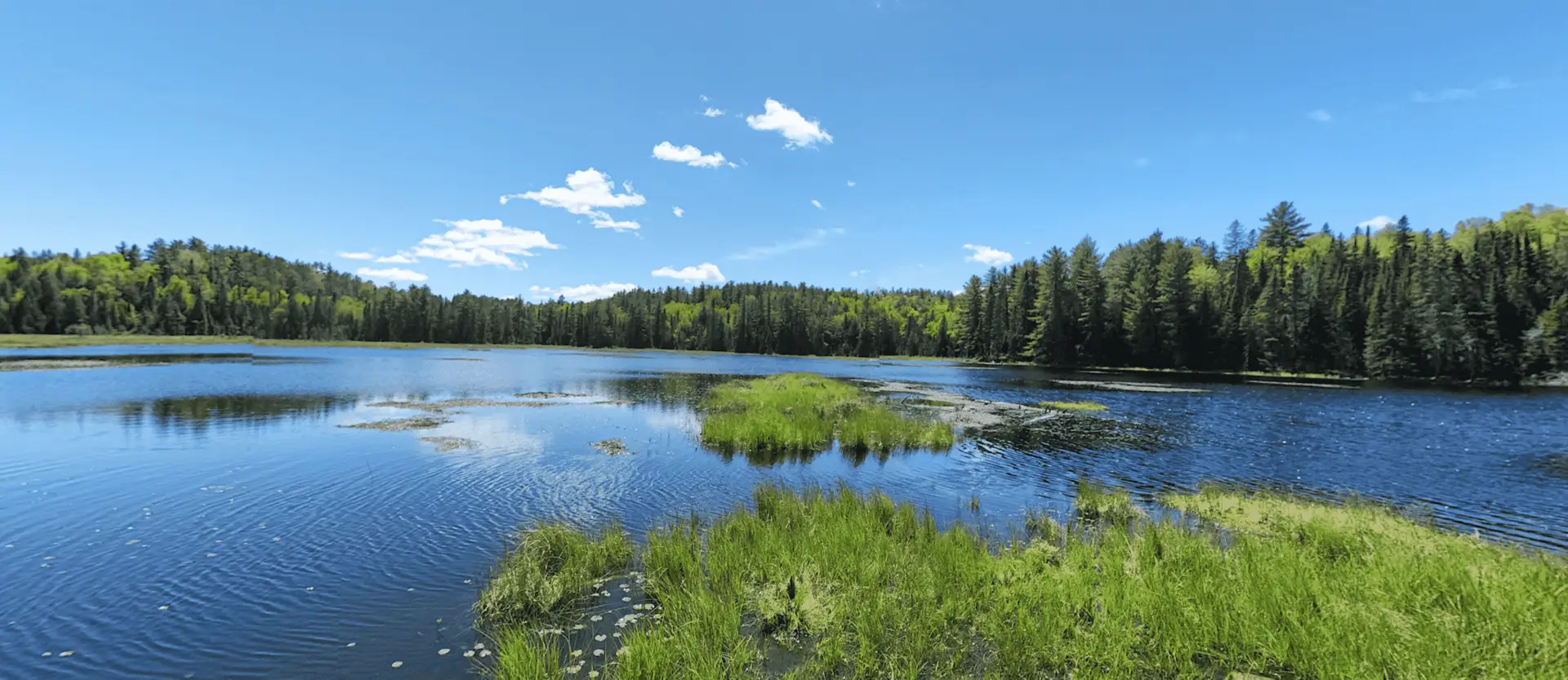 Algonquin Park Beaver Pond Trail Lake Lookout