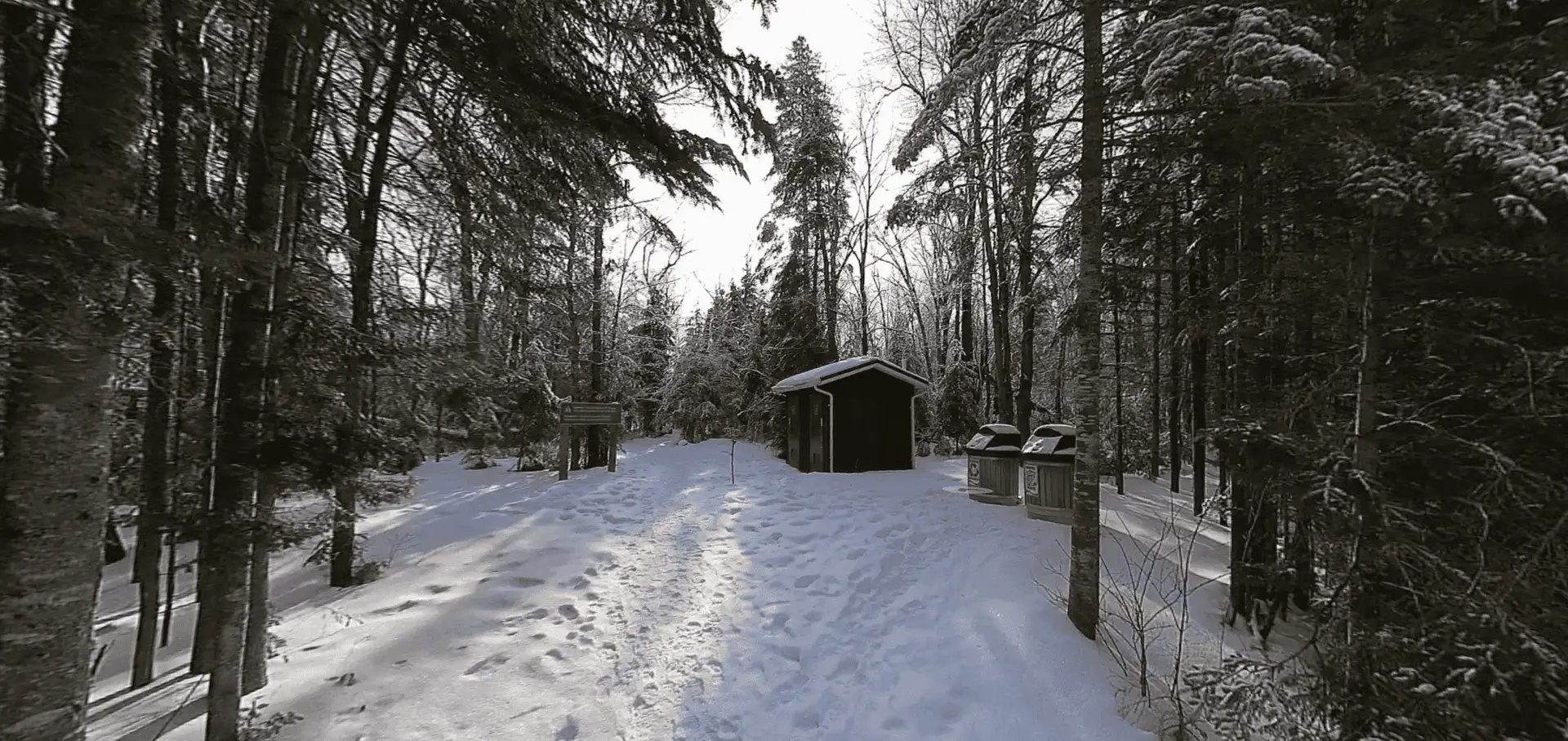 Algonquin Park Track & Tower Trail Head