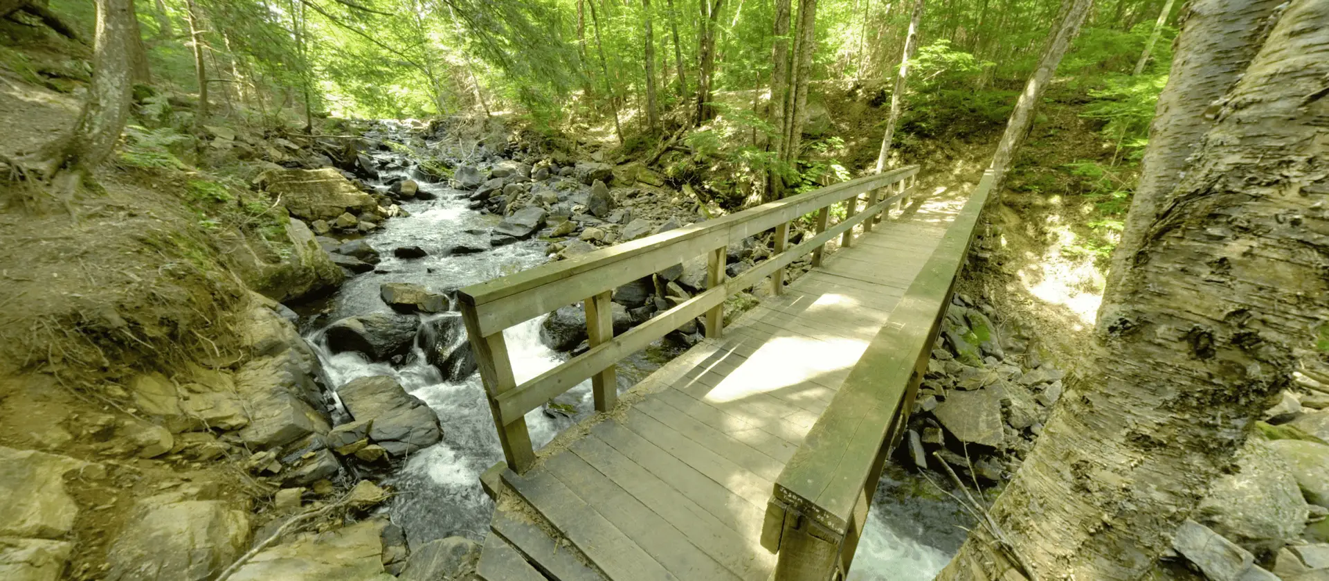 Algonquin Park Track & Tower Trail Bridge