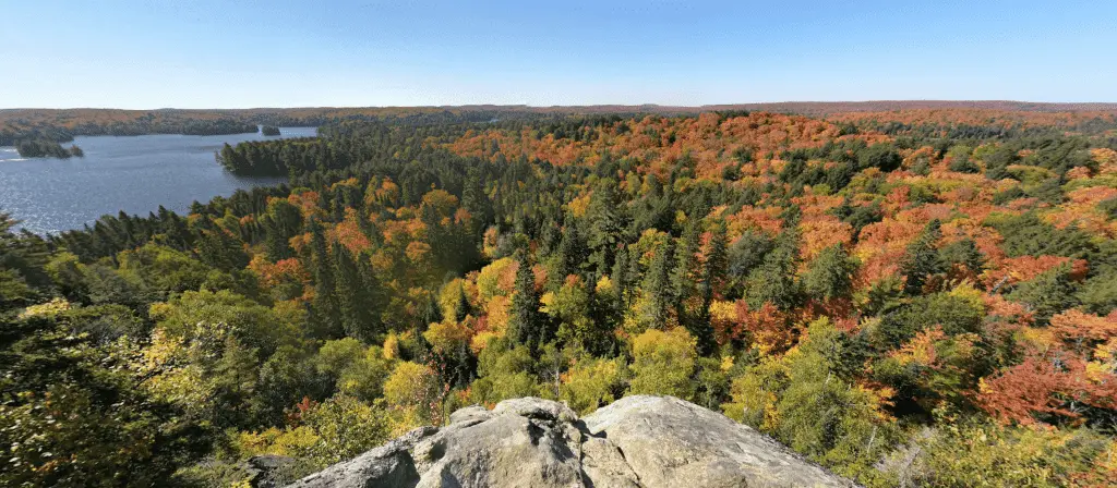 Algonquin Park Track & Tower Trail Cache Lake Lookout