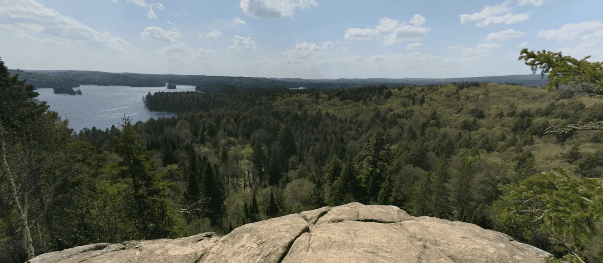 Algonquin Park Track & Tower Trail Cache Lake Lookout
