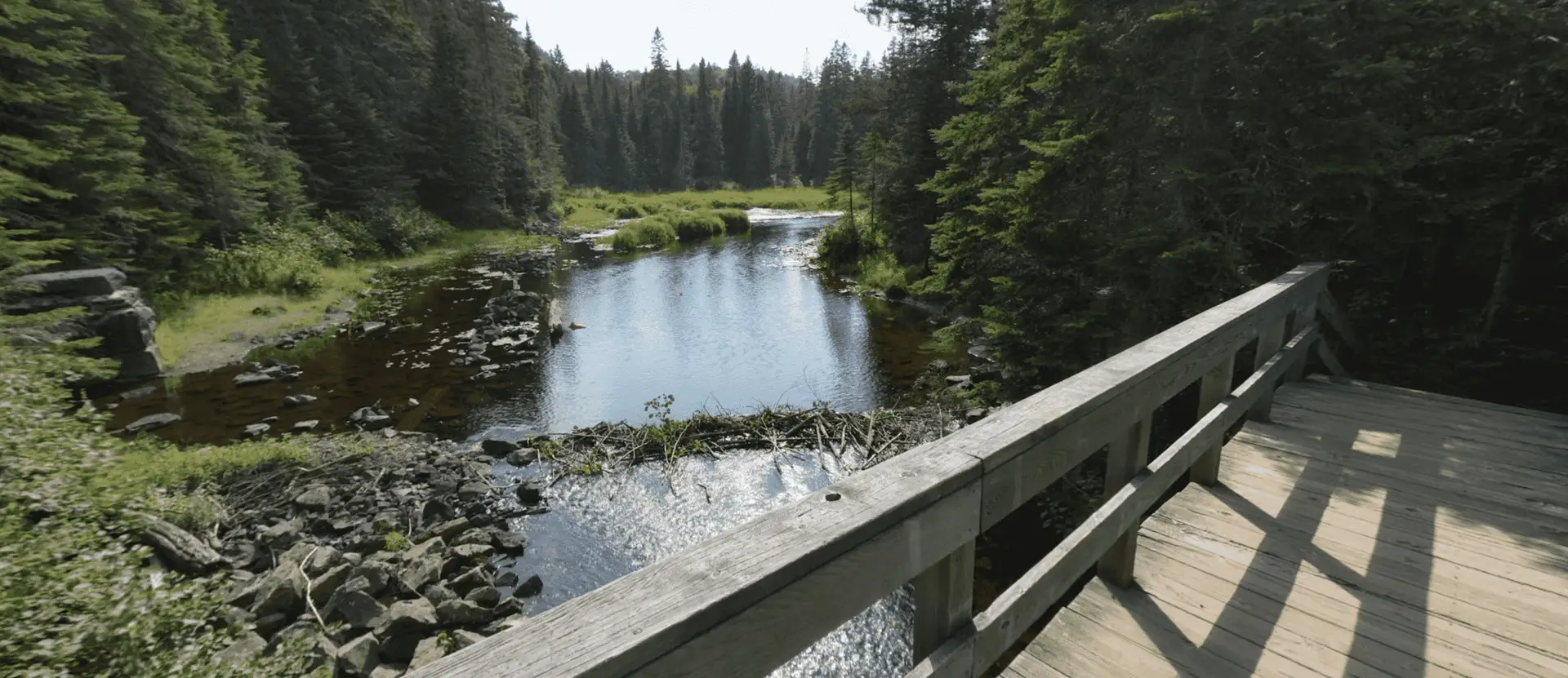 Algonquin Park Track & Tower Trail Madawaska River Crossing