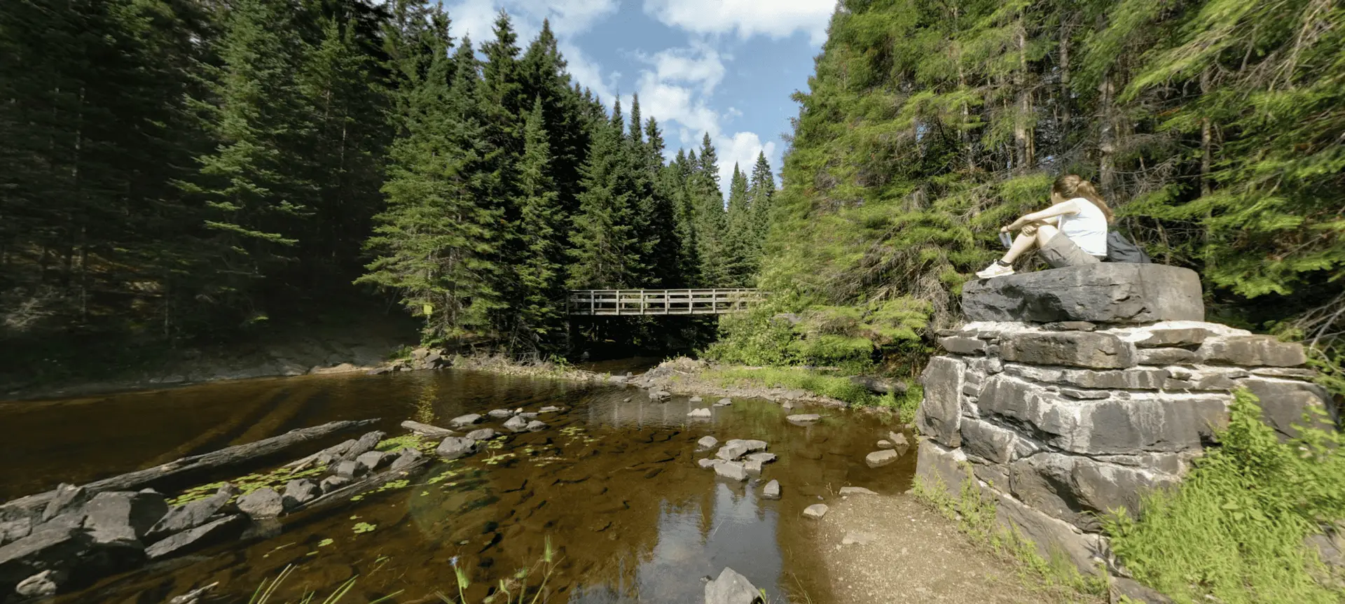 Algonquin Park Track & Tower Trail Madawaska River Crossing