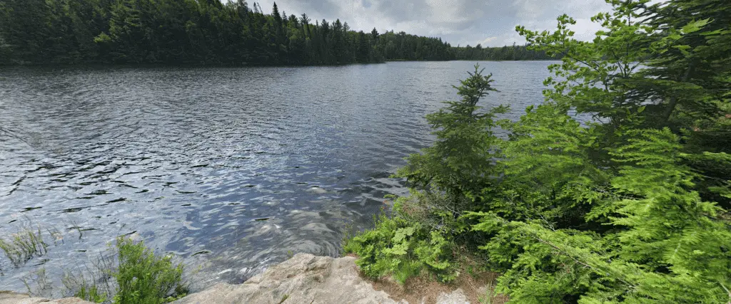 Algonquin Park Peck Lake Trail View