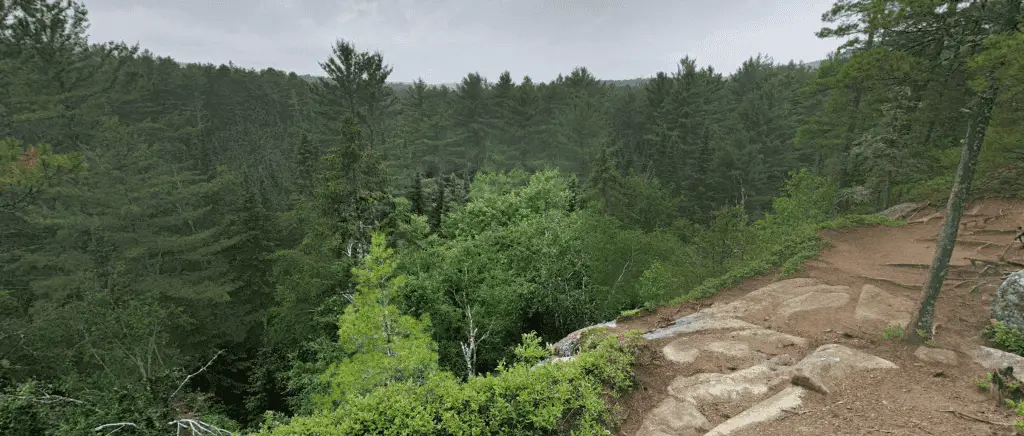 Algonquin Park Two Rivers Trail Lookout
