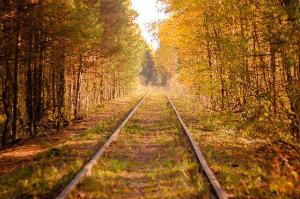 Abandoned railway in the autumn forest