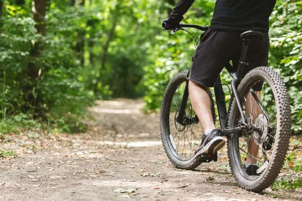 Legs of male cyclist riding bike by forest trail