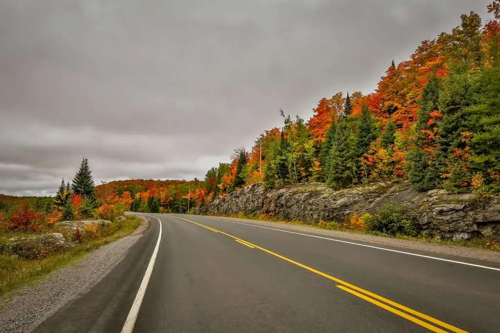 Experience Vibrant Algonquin Fall Colours in the Scenic South Algonquin Nature's Autumn Spectacle Awaits