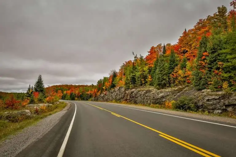 Experience Vibrant Algonquin Fall Colours in the Scenic South Algonquin Nature's Autumn Spectacle Awaits