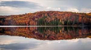 Algonquin Provincial Park, Canada with reflections of autumn trees in a lake