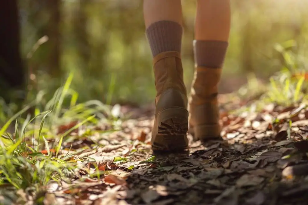 Woman hiker hiking on forest trail