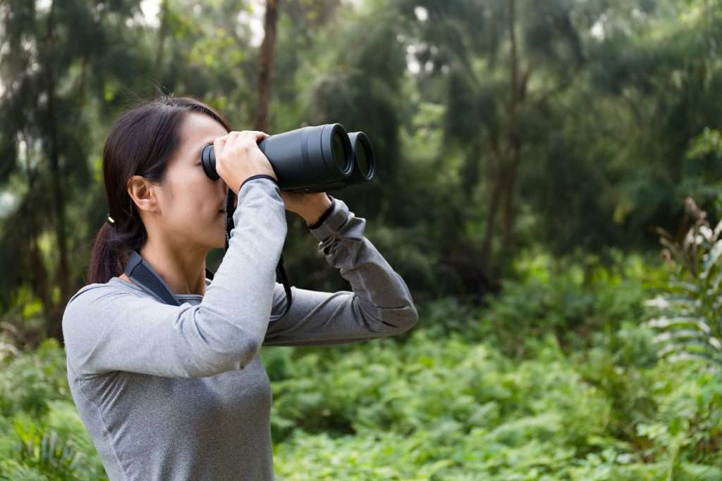 Woman use of the binoculars at forest