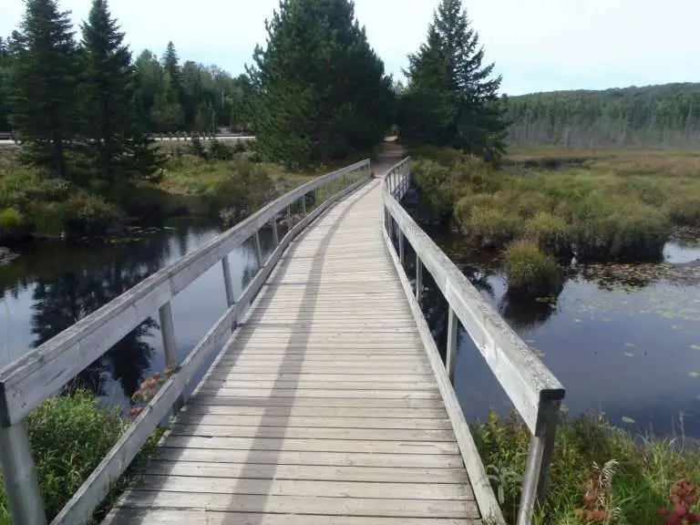 Algonquin Park Trails