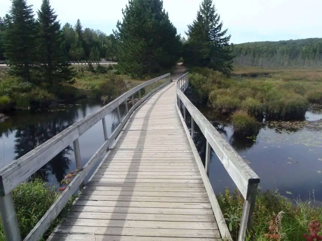 A wooden boardwalk crosses the open water of a bog on a clear day at Spruce Bog Boardwalk, Algonquin Park