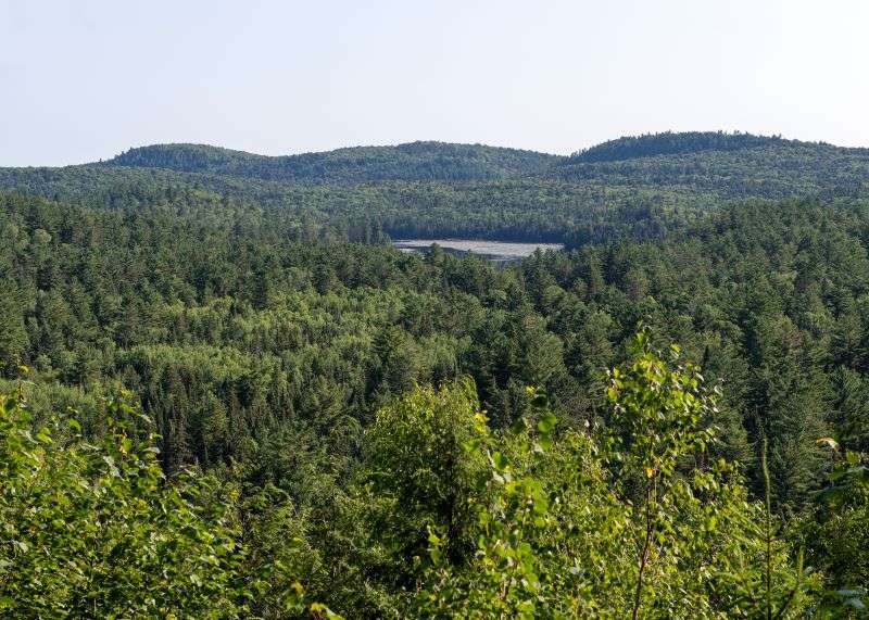 Bat Lake Trail view point above the treetops showing Bat Lake in the distance in Algonquin Park