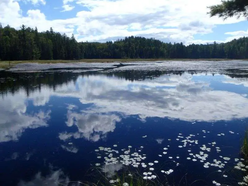 A view of a pond on a partly cloudy day in Algonquin Park from Beaver Pond Trail