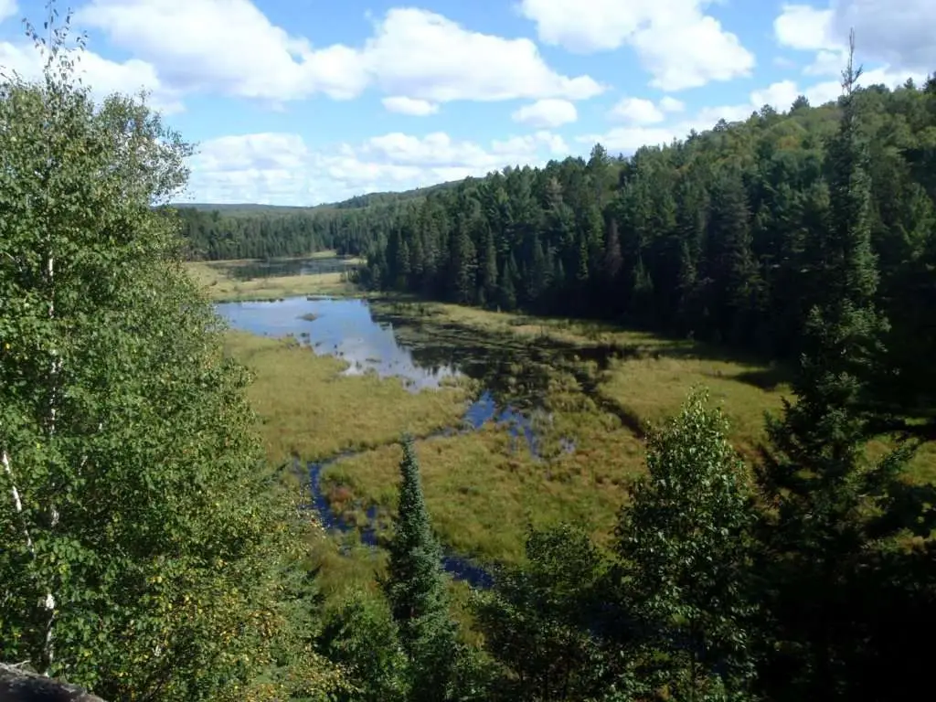 A view from a look out on Beaver Pond Trail, Algonquin Park looking down on a marsh