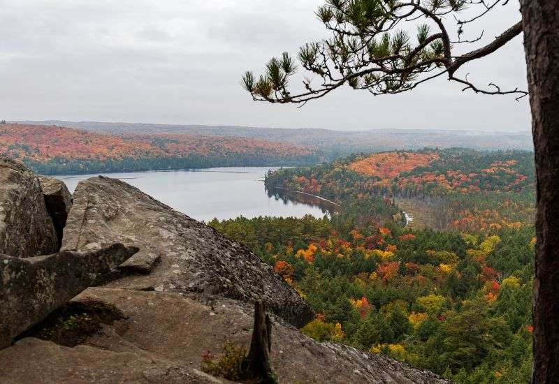 A breathtaking view over the tree tops with a lake in the distance from Booths Rock lookout in Algonquin Park