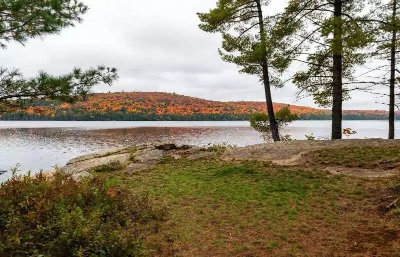 A view of a lake alongside Booths Rock Trail in Algonquin Park