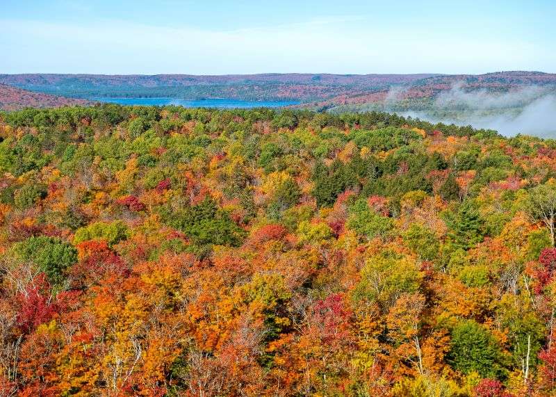 A lookout point on Centennial Ridges Trail in Algonquin Park showing tree colours changing for fall on a blue sky day