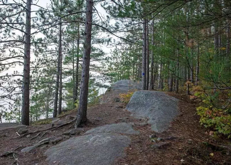 A trail through the forest with large boulders on the pathway. Centennial Ridges Trail, Algonquin Park