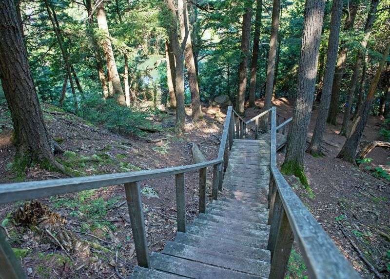 A wooden boardwalk goes down the side of a hill through the forest on Hemlock Bluff Trail, Algonquin Park