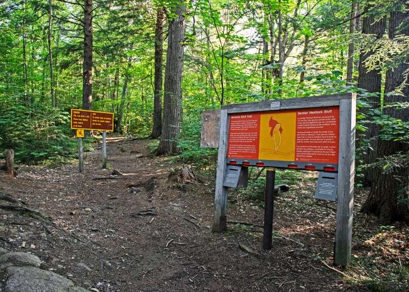 Hemlock Bluff 2 LR