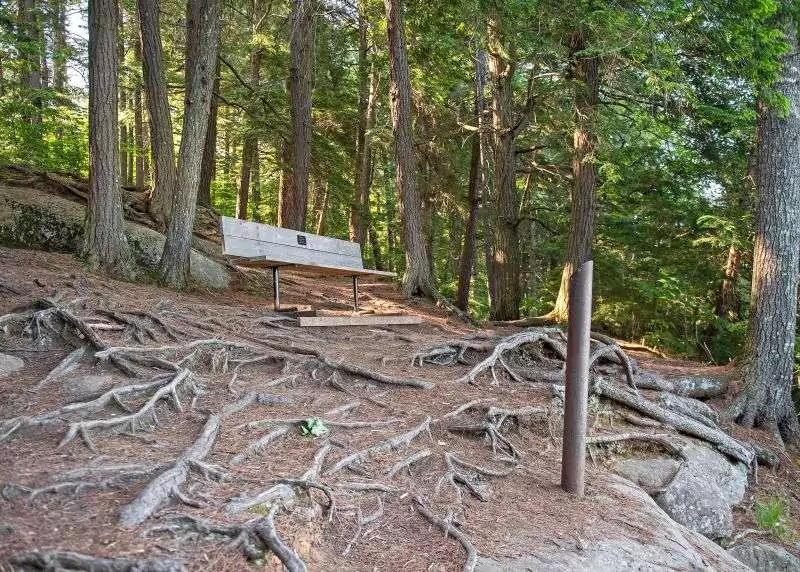 Tree roots cover a dirt pathway in a forest with a wooden bench beside the path on Hemlock Bluff Hiking Trail in Algonquin Park