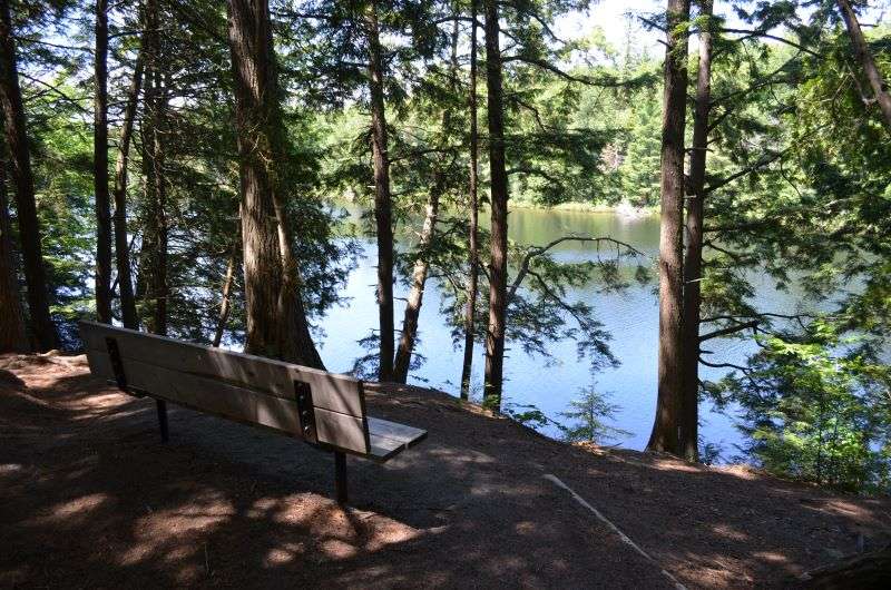 A bench alongside Peck Lake Trail in Algonquin Park looks through trees at Peck Lake