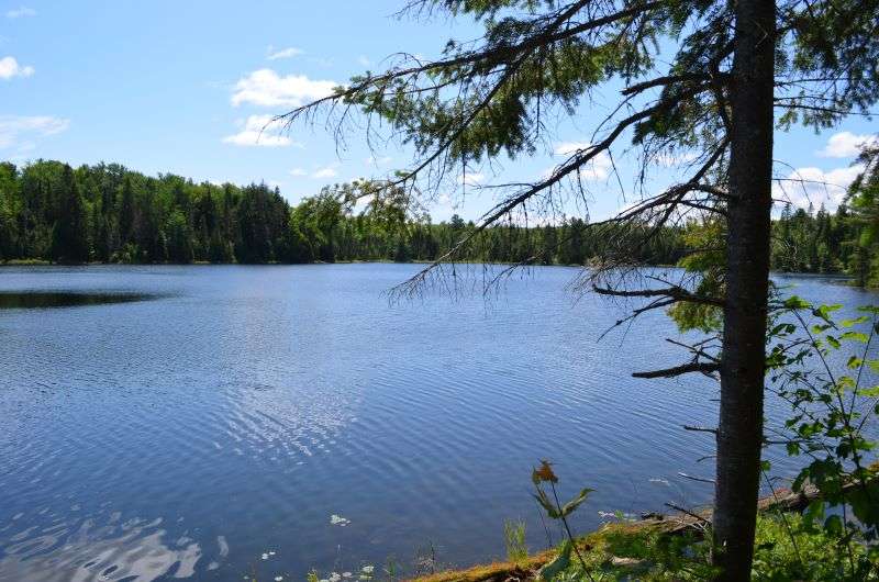 A beautiful view of Peck Lake with a blue sky above from Peck Lake Trail in Algonquin Park