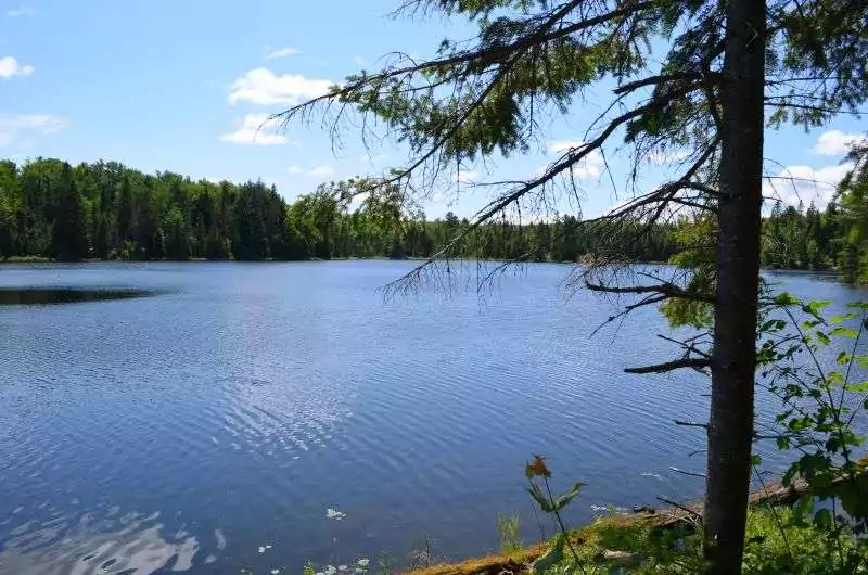 A beautiful view of Peck Lake with a blue sky above from Peck Lake Trail in Algonquin Park