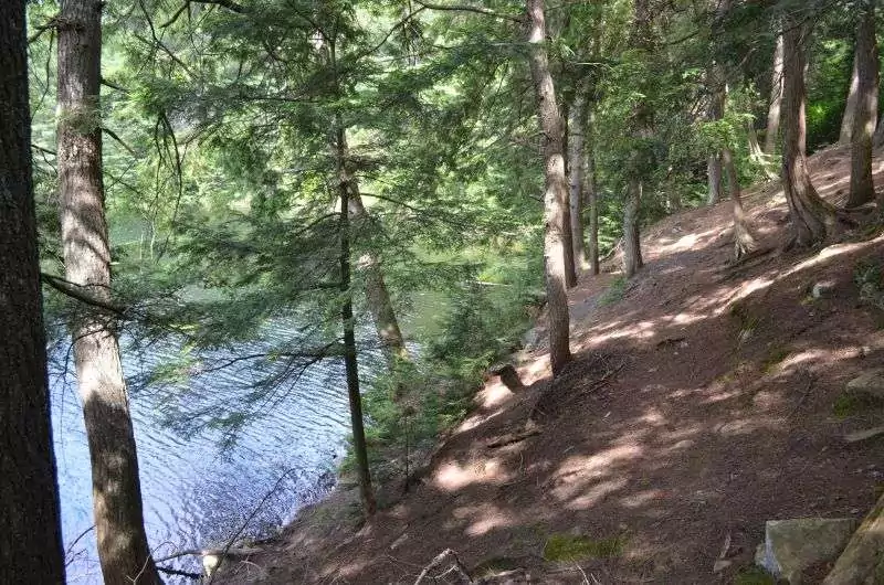 Peck Lake Trail in Algonquin Park goes beside a lake with trees lining the shore