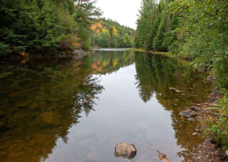 A still lake makes a reflection of the surrounding forest. A view seen from Track and Tower Trail in Algonquin Park