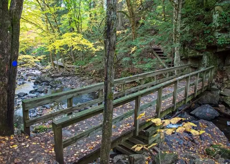 A wooden bridge crosses a stream in a forest on Track and Tower Trail in Algonquin Park