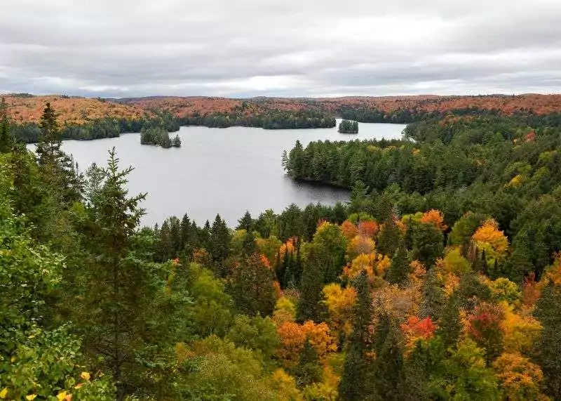 A beautiful view from a lookout of trees changing colour in Algonquin Park from Track and Tower Trail