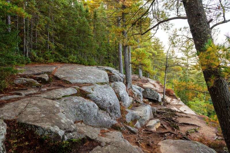 A rocky summit lookout area on the Two River Trail in Algonquin Park