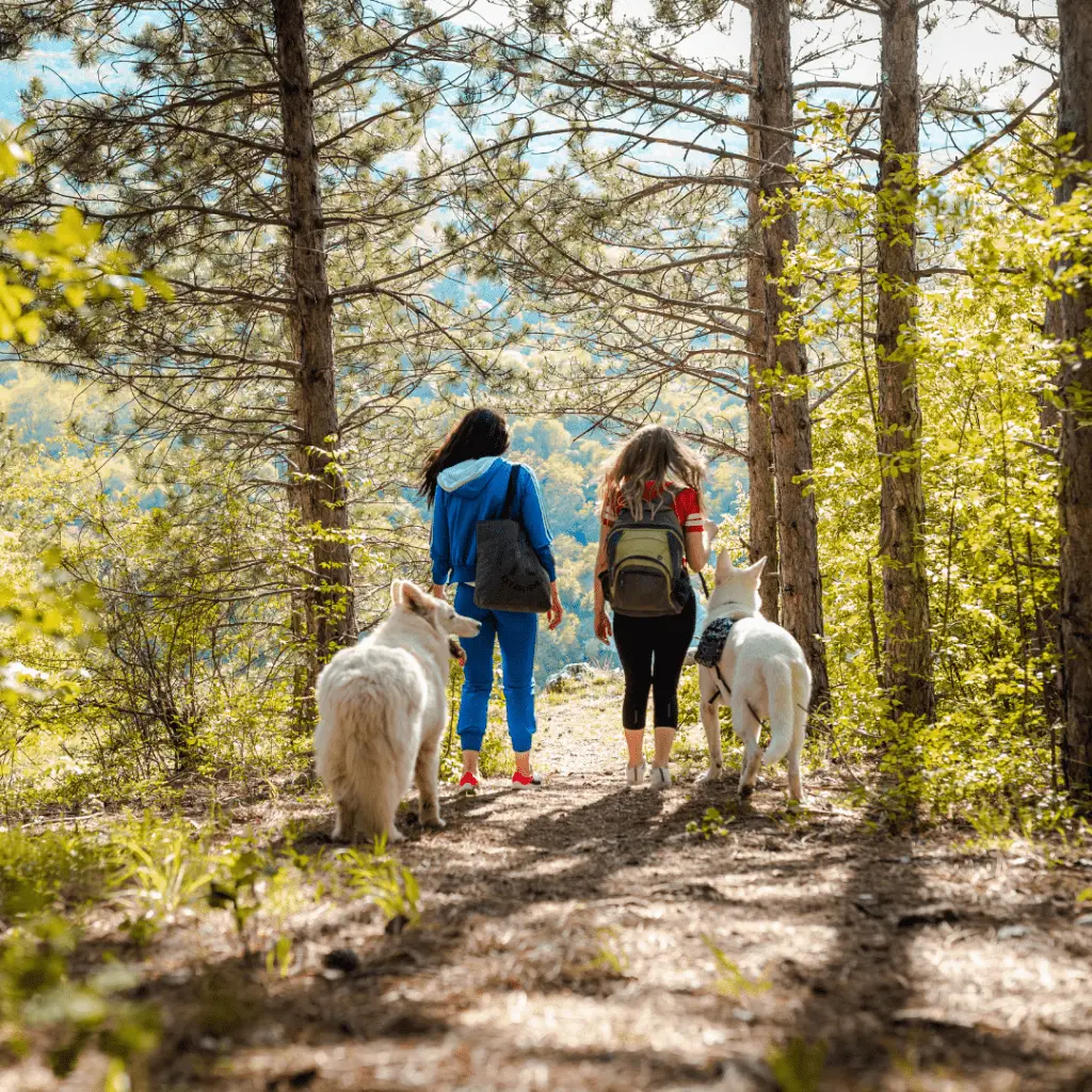 Women hiking with their pet dogs