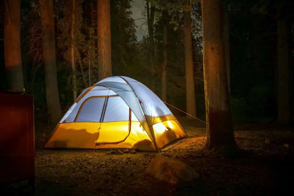 Camping in forest